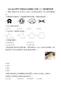 2023-2024学年广东省汕头市龙湖区八年级（上）期末数学试卷（含解析）