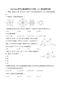 2023-2024学年云南省普洱市八年级（上）期末数学试卷（含解析）