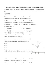 2023-2024学年广东省东莞市湖景中学七年级（上）期末数学试卷（含解析）