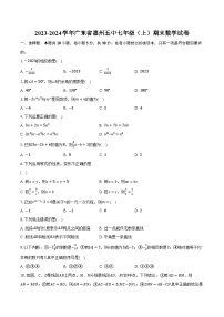 2023-2024学年广东省惠州五中七年级（上）期末数学试卷（含解析）