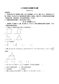 +山东省临沂市沂水县2023-2024学年九年级上学期期末考试数学试题