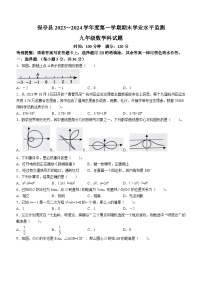 海南省省直辖县级行政单位保亭黎族苗族自治县2023-2024学年九年级上学期期末数学试题
