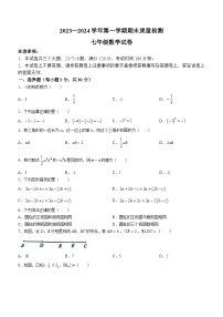 河南省洛阳市宜阳县2023-2024学年七年级上学期期末数学试题