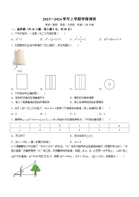 河南省郑州市郑州东区2023-2024学年九年级上学期期末数学试题(无答案)