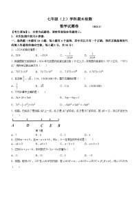 浙江省嘉兴市2023-2024学年七年级上学期期末数学试题