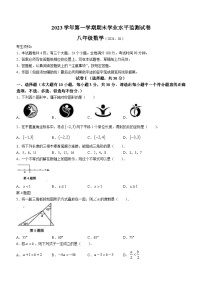 浙江省绍兴市新昌县2023-2024学年八年级上学期期末数学试题