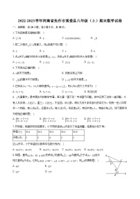 2022-2023学年河南省焦作市博爱县八年级（上）期末数学试卷（含解析）