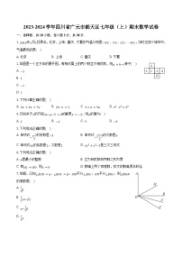 2023-2024学年四川省广元市朝天区七年级（上）期末数学试卷（含解析）