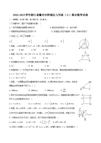 2022-2023学年浙江省衢州市柯城区九年级（上）期末数学试卷（含解析）