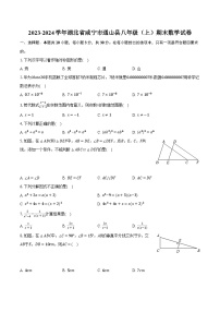 2023-2024学年湖北省咸宁市通山县八年级（上）期末数学试卷(含解析）