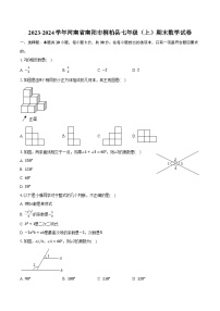 2023-2024学年河南省南阳市桐柏县七年级（上）期末数学试卷(含解析）