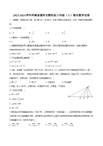 2023-2024学年河南省漯河市舞阳县八年级（上）期末数学试卷(含解析）