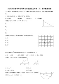 2023-2024学年河北省唐山市迁安市九年级（上）期末数学试卷(含解析）