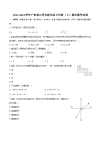 2023-2024学年广东省云浮市新兴县七年级（上）期末数学试卷(含解析）