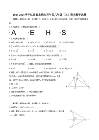 2023-2024学年江西省上饶市万年县八年级（上）期末数学试卷(含解析）