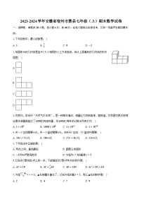 2023-2024学年安徽省宿州市萧县七年级（上）期末数学试卷(含解析）