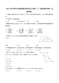 2023-2024学年山东省淄博市张店区七年级（上）期末数学试卷（五四学制）(含解析）