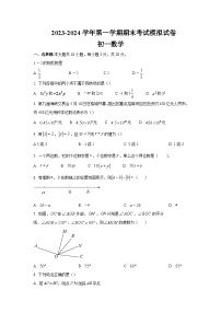 江苏省苏州市苏州工业园区2023-2024学年七年级上学期数学期末考试模拟试卷