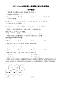 江苏省苏州市张家港市2023-2024学年 七年级上学期期末数学模拟试卷