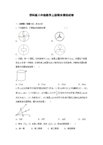 苏科版2023-2024学年八年级数学上册期末模拟试卷