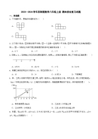 苏科版2023—2024学年数学八年级上册 期末综合复习试题