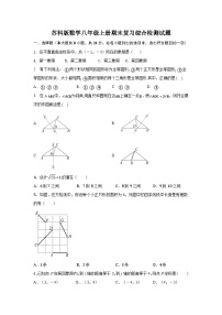 苏科版2023—2024学年数学八年级上册期末复习综合检测试题