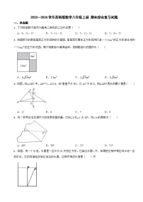 苏科版2023—2024学年数学八年级上册期末综合复习试题