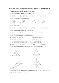 广东省深圳市盐田区2022-2023学年八年级下学期期末数学试卷