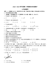 广东省湛江市第二十九中学2022-2023学年七年级下学期期末数学试题()