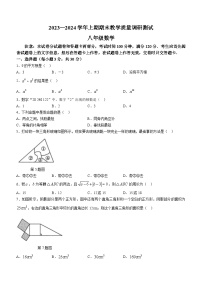 河南省鹤壁市2023-2024学年八年级上学期期末数学试题