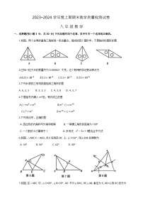 河南省漯河市郾城区2023-2024学年八年级上学期期末数学试题