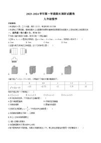 河南省平顶山市2023-2024学年九年级上学期期末数学试题