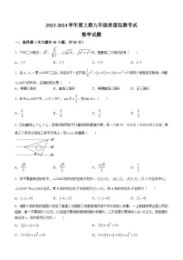 河南省驻马店市新蔡县2023-2024学年九年级上学期期末数学试题()