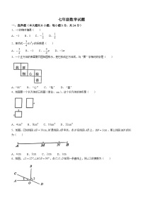 江苏省宿迁市泗洪县2023-2024学年七年级上学期期末数学试题()