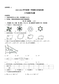 山东省潍坊市潍城区2023-2024学年八年级上学期期末数学试题()