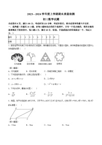 山东省淄博市临淄区2023-2024学年八年级上学期期末数学试题