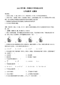 浙江省丽水市松阳县2023-2024学年七年级上学期期末数学试题