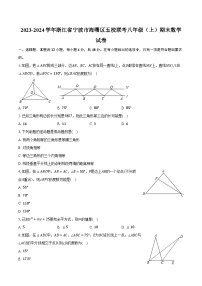 2023-2024学年浙江省宁波市海曙区五校联考八年级（上）期末数学试卷（含解析）