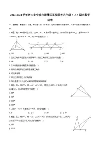 2023-2024学年浙江省宁波市海曙区五校联考八年级（上）期末数学试卷（含解析）