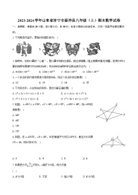 2023-2024学年山东省济宁市嘉祥县八年级（上）期末数学试卷（含解析）