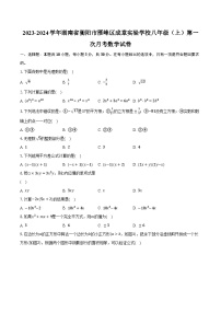 2023-2024学年湖南省衡阳市雁峰区成章实验学校八年级（上）第一次月考数学试卷（含解析）