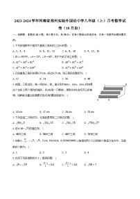 2023-2024学年河南省郑州实验外国语中学八年级（上）月考数学试卷（10月份）（含解析）