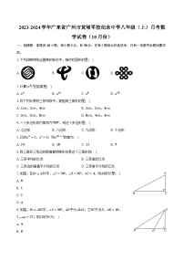 2023-2024学年广东省广州市黄埔军校纪念中学八年级（上）月考数学试卷（10月份）（含解析）