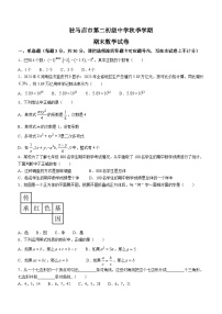 河南省驻马店市驿城区第二初级中学2023-2024学年七年级上学期期末数学试题(无答案)