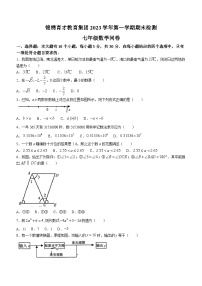 浙江省杭州市杭州育才中学2023-2024学年七年级上学期期末数学试题(无答案)