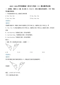 海南省三亚市2023-2024学年八年级上学期期末数学试题
