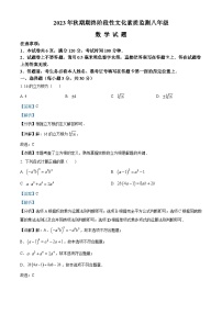 河南省南阳市唐河县2023-2024学年八年级上学期期末数学试题