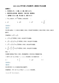 河南省周口市太康县2023-2024学年九年级上学期期末数学试题