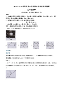 山东省青岛市胶州市2023-2024学年九年级上学期期末数学试题