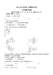 河南省安阳市林州市2023-2024学年七年级上学期期末数学试题